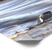 Poster photo Seabird in Ocean (Coin)