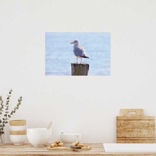 Poster Photo Seagull (Cuisine)