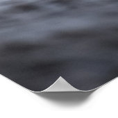 Poster photo Seagull Wildlife (Coin)