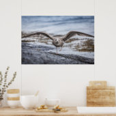 Poster photo Seagull Wildlife (Cuisine)