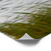Poster photo Skimmer Bird (Coin)