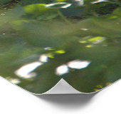 Poster photo Snowy Egret (Coin)