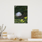Poster photo Snowy Egret (Cuisine)