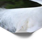 Poster photo Snowy Egret (Coin)
