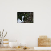 Poster photo Snowy Egret (Cuisine)