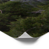 Poster photo Snowy Egret (Coin)