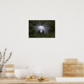 Poster photo Snowy Egret (Cuisine)