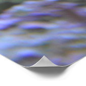 Poster Photo sous-marine de poisson clown et d'anémone de (Coin)