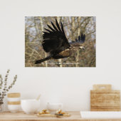 Poster photo "THE JOURNEYMAN" de l'aigle chauve (Cuisine)