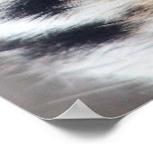 Poster Photo Tigers Eye (Coin)