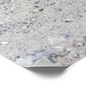 Poster Photo Tortue (Coin)