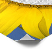 Poster Photo tournesol (Coin)