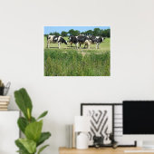 Poster photo vaches (Bureau à domicile)