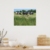 Poster photo vaches (Cuisine)