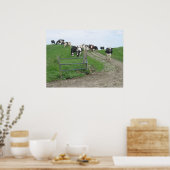 Poster photo vaches (Cuisine)