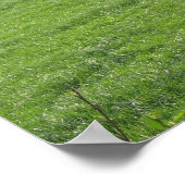 Poster photo vaches Imprimer (Coin)