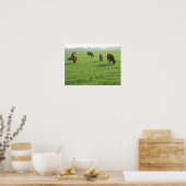 Poster photo vaches Imprimer (Cuisine)