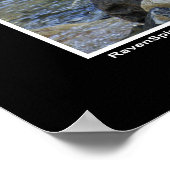 Poster photo "Vision Quest" Loup gris (Coin)