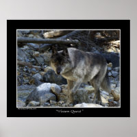 Poster photo "Vision Quest" Loup gris