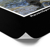 Poster photo "Vision Quest" Loup gris (Coin)