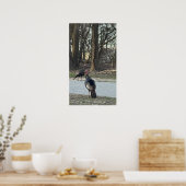 Poster photo Wild Turkeys (Cuisine)