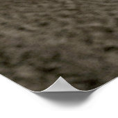 Poster Photo Wildlife Bull Elephant (Coin)