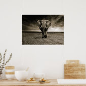 Poster Photo Wildlife Bull Elephant (Cuisine)
