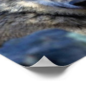 Poster Photo Wolf (Coin)