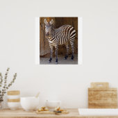Poster Photo Zebra (Cuisine)