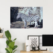 Poster Photo Zebras (Bureau à domicile)
