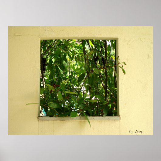 Poster photographie (Devant)