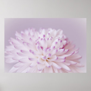 Poster Photographie à fleurs pastel douce