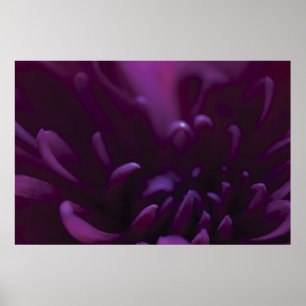 Poster Photographie à fleurs violettes
