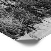 Poster Photographie à vendre - Arbres dépoli Imprimer (Coin)