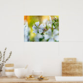 Poster Photographie abstraite de fleur de géranium blanc (Cuisine)