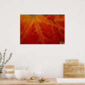Poster Photographie abstraite de la feuille d'érable roug (Cuisine)