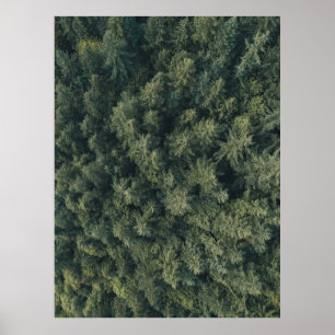 Poster Photographie aérienne d'arbres verts