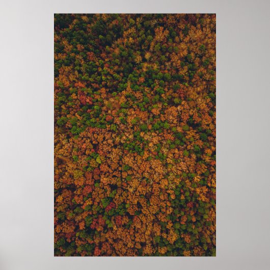 Poster Photographie aérienne de la forêt (Devant)