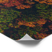 Poster Photographie aérienne de la forêt (Coin)