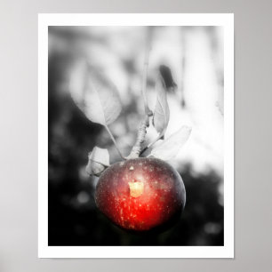 Poster Photographie Apple "Tentation" Imprimer