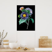 Poster Photographie arrière - plan noir botanique d'Aster (Cuisine)