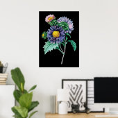 Poster Photographie arrière - plan noir botanique d'Aster (Bureau à domicile)