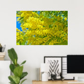 Poster Photographie botanique florale de Mimosa (Bureau à domicile)