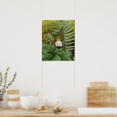 Poster Photographie botanique Plante (Cuisine)