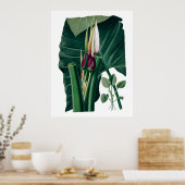 Poster Photographie botanique tropicale feuille (Cuisine)