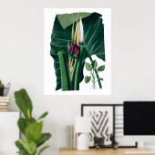 Poster Photographie botanique tropicale feuille (Bureau à domicile)