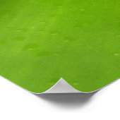 Poster Photographie botanique verte de Bromeliad (Coin)