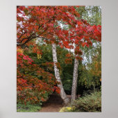 Poster Photographie couleur feuille automne (Devant)