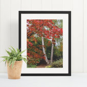 Poster Photographie couleur feuille automne