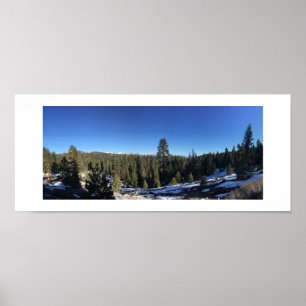 Poster Photographie couleur panoramique de la forêt d'Icy